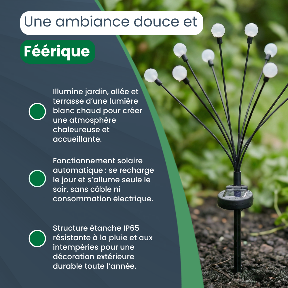 Lampes Lucioles à Énergie Solaire | LED Extérieur Étanches